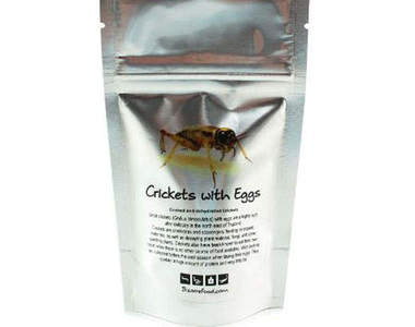 真的可以吃嗎?可以!用昆蟲做的食品