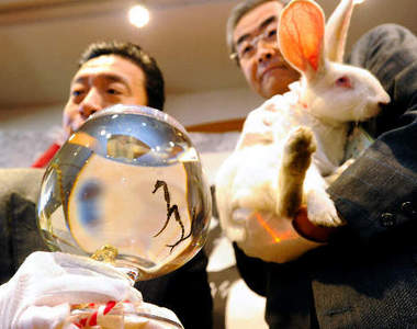 日本《生肖交接儀式》新年生肖也要更新才行!