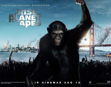 《猩球崛起》 猩猩與人類全面開戰