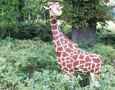 《樂高動物園》滿滿都是超逼真的樂高動物★