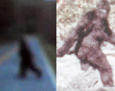 真的存在?美國軍人目擊《大腳怪》出沒