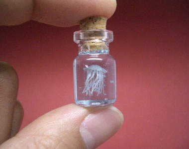 可愛小瓶中的迷你小世界