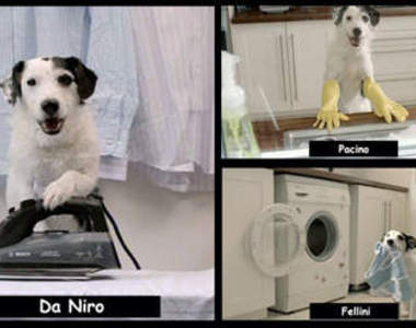 超級狗明星 十八般武藝樣樣通