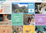 24小時不打烊~隨時都能線上逛動物園喔~ 24小時不打烊~隨時都能線上逛動物園喔~