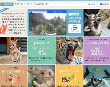 24小時不打烊~隨時都能線上逛動物園喔~