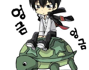 喵咪喜歡烏龜車 司機慢慢開就好~不趕時間!