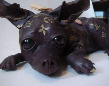 吉娃娃LV 起雞皮疙瘩了...