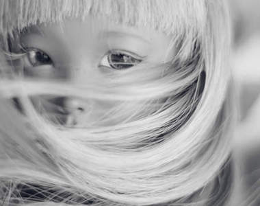 Oso Polar 鏡頭底下的美麗與哀愁