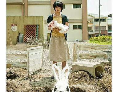 可愛兔兔帶你前往恐怖國度《RABBIT HORROR 3D》