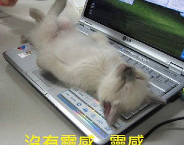 電影影集化  好萊塢也沒梗了？