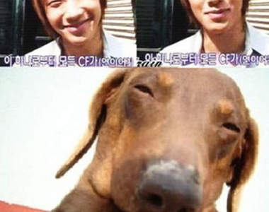 KR明星！擁有可愛狗狗臉~