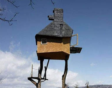 在高處的樹屋:懼高症的人驚驚～