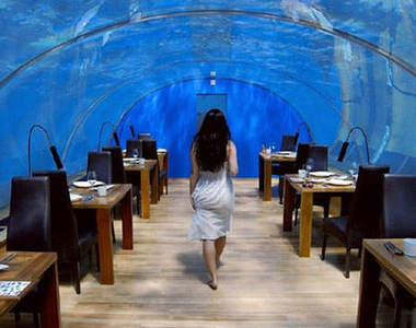 Ithaa水下餐廳:情侶間的浪漫選擇