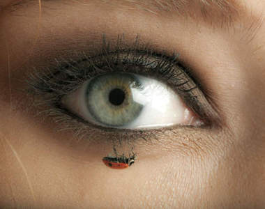 蟲蟲時尚 蛋白質女孩的新選擇