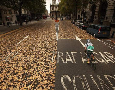 好稀奇喔～怎麼會出現這樣的《落葉路》呢？