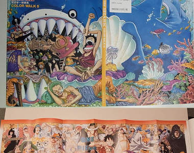 海賊王第五本畫冊 COLOR WALK5開箱