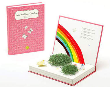 打開書本裡面就是你的小花園！結合繪本的桌上型盆栽