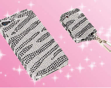 防止哀鳳離家出走的閃亮亮遙控器