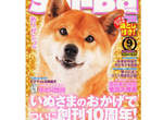寵物雜誌卻出現龜甲縛?!這也算是愛動物的一種嗎? 寵物雜誌卻出現龜甲縛?!這也算是愛動物的一種嗎?