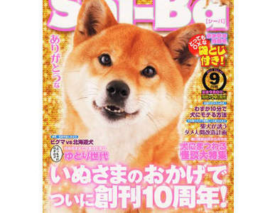 寵物雜誌卻出現龜甲縛?!這也算是愛動物的一種嗎?
