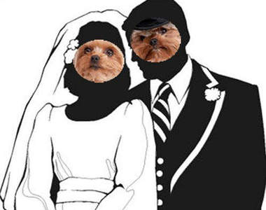 兩隻狗的百萬婚禮