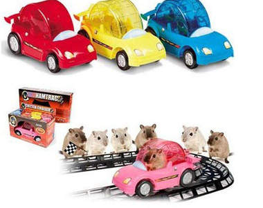 老鼠會開車?!小倉鼠的專用跑車