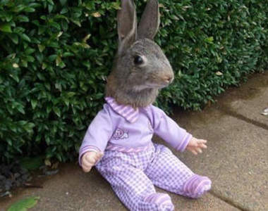 異種標本 標本家的異想世界