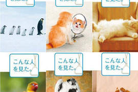 坐捷運時要遵守的禮儀◕‿-☆動物篇☆ 坐捷運時要遵守的禮儀◕‿-☆動物篇☆