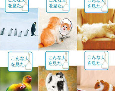 坐捷運時要遵守的禮儀◕‿-☆動物篇☆