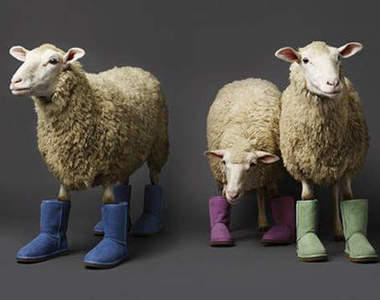 穿靴子的小動物～可愛！