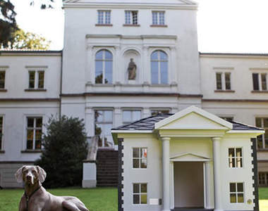 狗狗也吹名媛風　豪華狗屋我也想GET！！