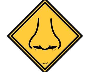 鼻毛通知代理服務　拯救鼻毛外露的你