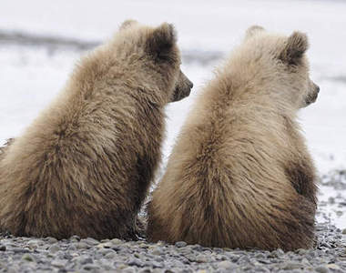 他不笨 他是我朋友