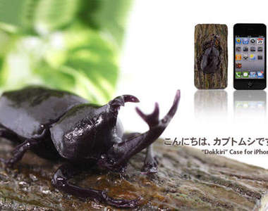 獨角仙哀鳳殼 這是假的！別拿網子抓我