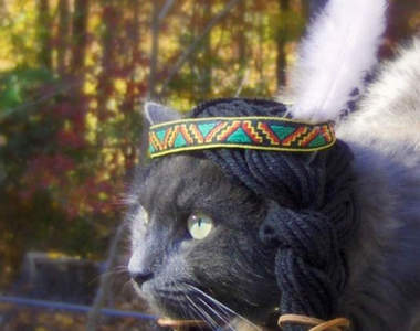 貓的！我也有專門的帽子可以戴了♥♥♥