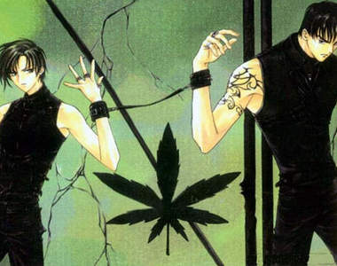 CLAMP《迷幻藥局》連載重開！