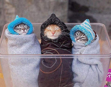 呼～這些照片看著就好冷喔(抖)