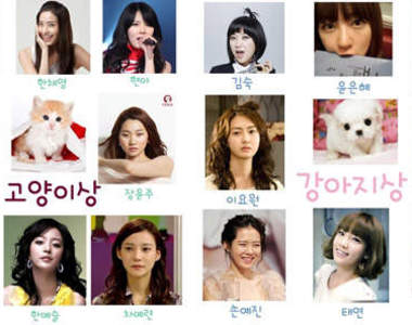 小貓小狗臉的韓國女藝人