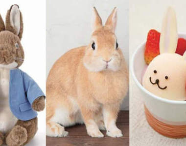 新年快樂！兔年產品報報報！