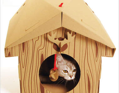 貓的～你要來我家坐坐嗎？！