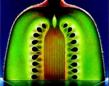 透感派的超逼真水果油畫～♣