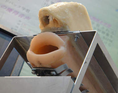 發聲機器嘴 一張一合的也能發出五十音(驚!)