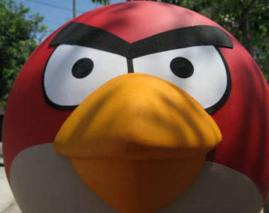 真實的憤怒鳥遊戲！看他們怎麼轟炸豬頭