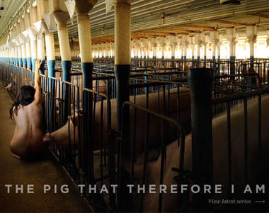 與豬共舞 裸體藝術家Miru Kim