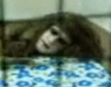 超詭異《人面犬》人狗傻傻分不清