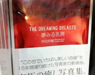 乳房寫真集 〝見破〞罩杯秘密的最強教科書