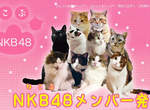 貓的!萌貓團體《NKB48》(ねこぶ48)Nya~~ 貓的!萌貓團體《NKB48》(ねこぶ48)Nya~~