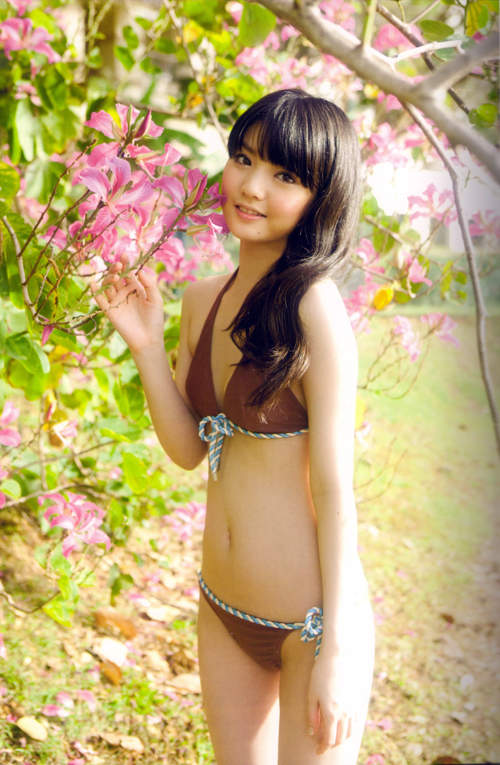 圖片15 圖片15