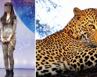 韓版比莉姊 《朴慧源》 一天沒有豹紋就覺得不對勁