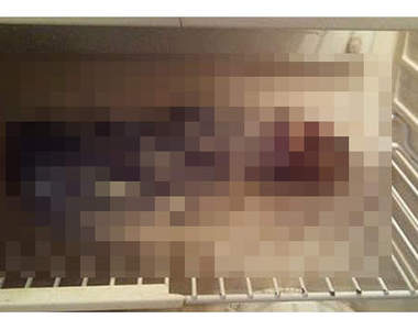 最不想在冰箱裡看到的東西～外星人屍體